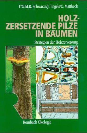 Holzzersetzende Pilze in Bäumen