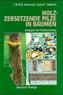 Holzzersetzende Pilze in Bäumen