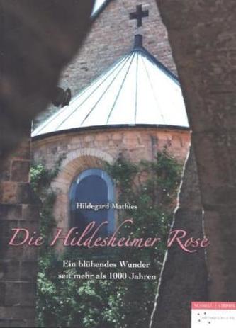 Die Hildesheimer Rose