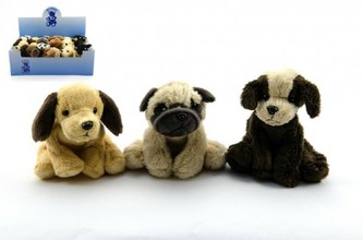 Pes plyš 10cm asst 8 druhů 18 ks v boxu