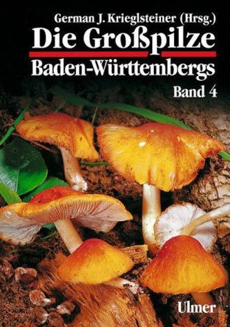 Ständerpilze: Blätterpilze II