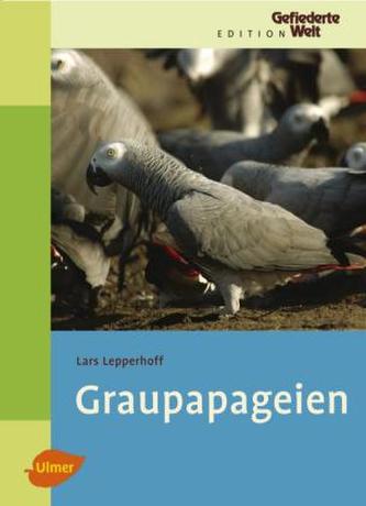 Graupapageien Graupapageien