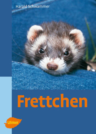 Frettchen Frettchen