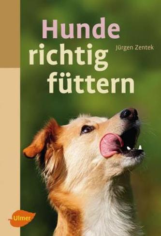 Hunde richtig füttern Hunde richtig füttern
