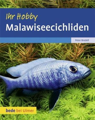 Malawiseecichliden Malawiseecichliden