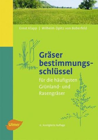 Gräserbestimmungsschlüssel für die häufigsten Grünland- und Rasengräser