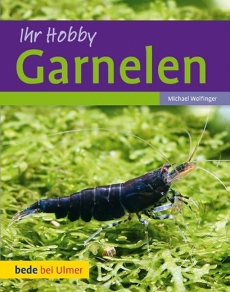 Garnelen