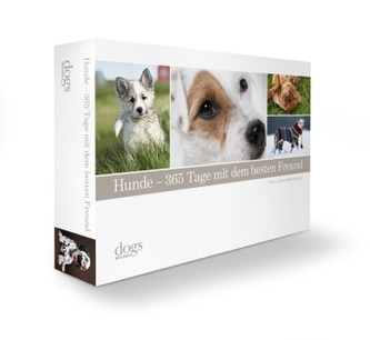 Hunde - 365 Tage mit dem besten Freund