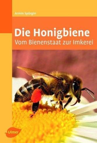 Die Honigbiene