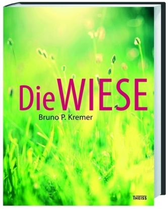 Die Wiese
