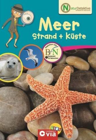 Meer, Strand + Küste