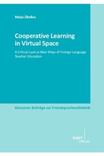 Cooperative Learning in Virtual Space