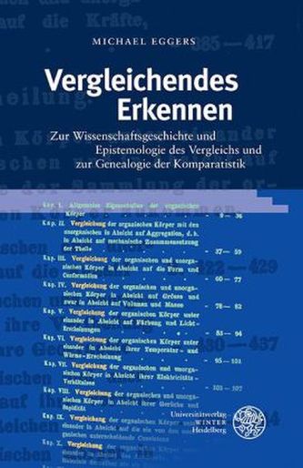 Vergleichendes Erkennen