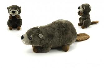 Bobr plyš 23cm asst 2 druhy