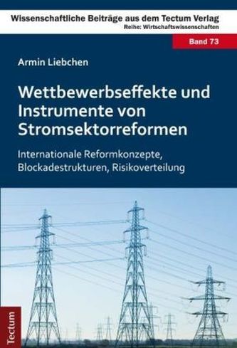 Wettbewerbseffekte und Instrumente von Stromsektorreformen Wettbewerbseffekte und Instrumente von Stromsektorreformen