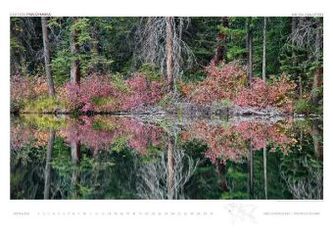 Wälder unserer Erde - Immerwährender Magnum Kalender