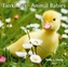 Tierkinder / Animal Babies 2017