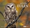 ... geliebte Eulen 2017