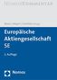Europäische Aktiengesellschaft SE, Kommentar