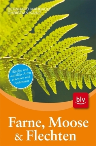 Farne, Moose & Flechten
