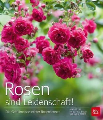 Rosen sind Leidenschaft!