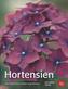 Hortensien
