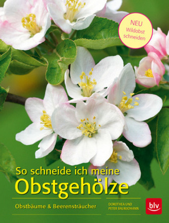 So schneide ich meine Obstgehölze