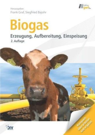 Biogas, m. DVD-ROM (eBook)