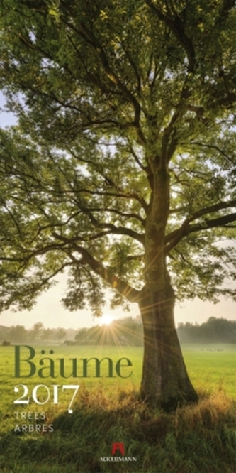 Bäume 2017