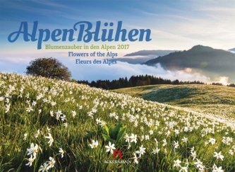 AlpenBlühen 2017