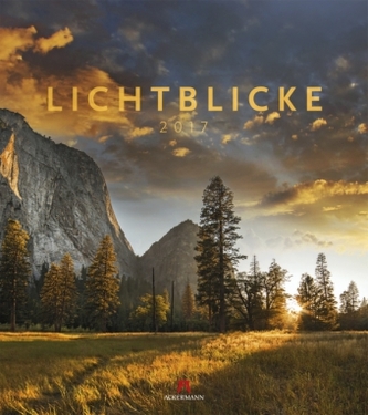 Lichtblicke 2017