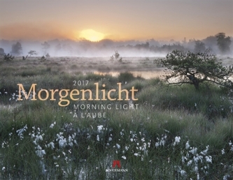 Morgenlicht 2017