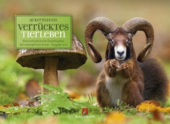 Verrücktes Tierleben 2017