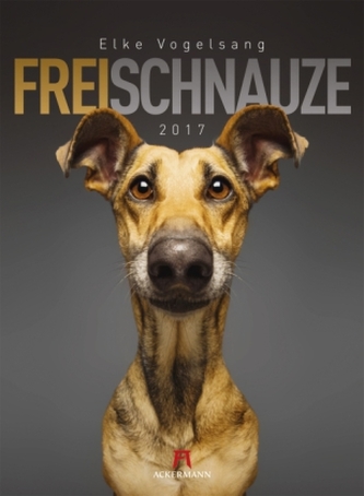 Frei Schnauze 2017