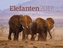Elefanten 2017