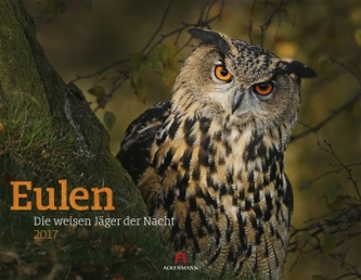 Eulen 2017