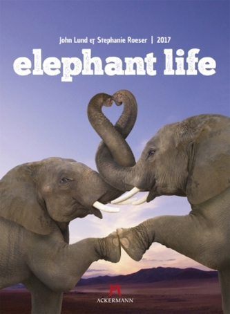 Elephant Life 2017