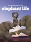 Elephant Life 2017
