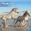 Pferde, Broschürenkalender 2017