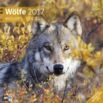 Wölfe, Broschürenkalender 2017