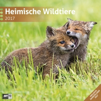 Heimische Wildtiere 2017