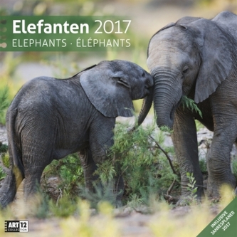 Elefanten, Broschürenkalender 2017
