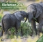 Elefanten, Broschürenkalender 2017