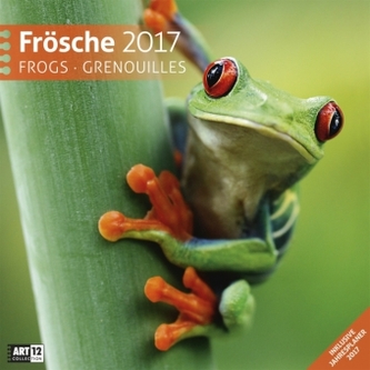 Frösche, Broschürenkalender 2017