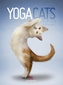 Yoga Cats 2017