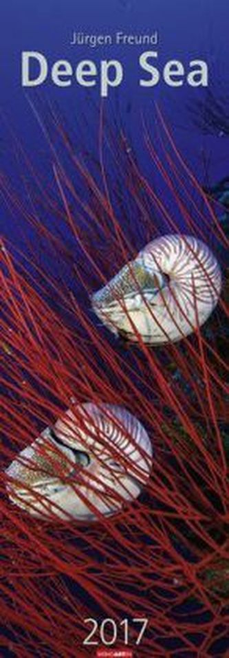 Deep Sea 2017