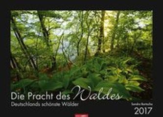Die Pracht des Waldes 2017
