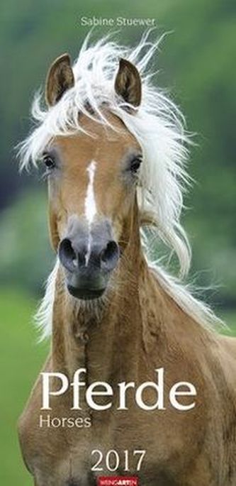Pferde 2017
