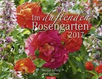 Im duftenden Rosengarten 2017
