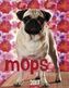 Mops Kalender 2017